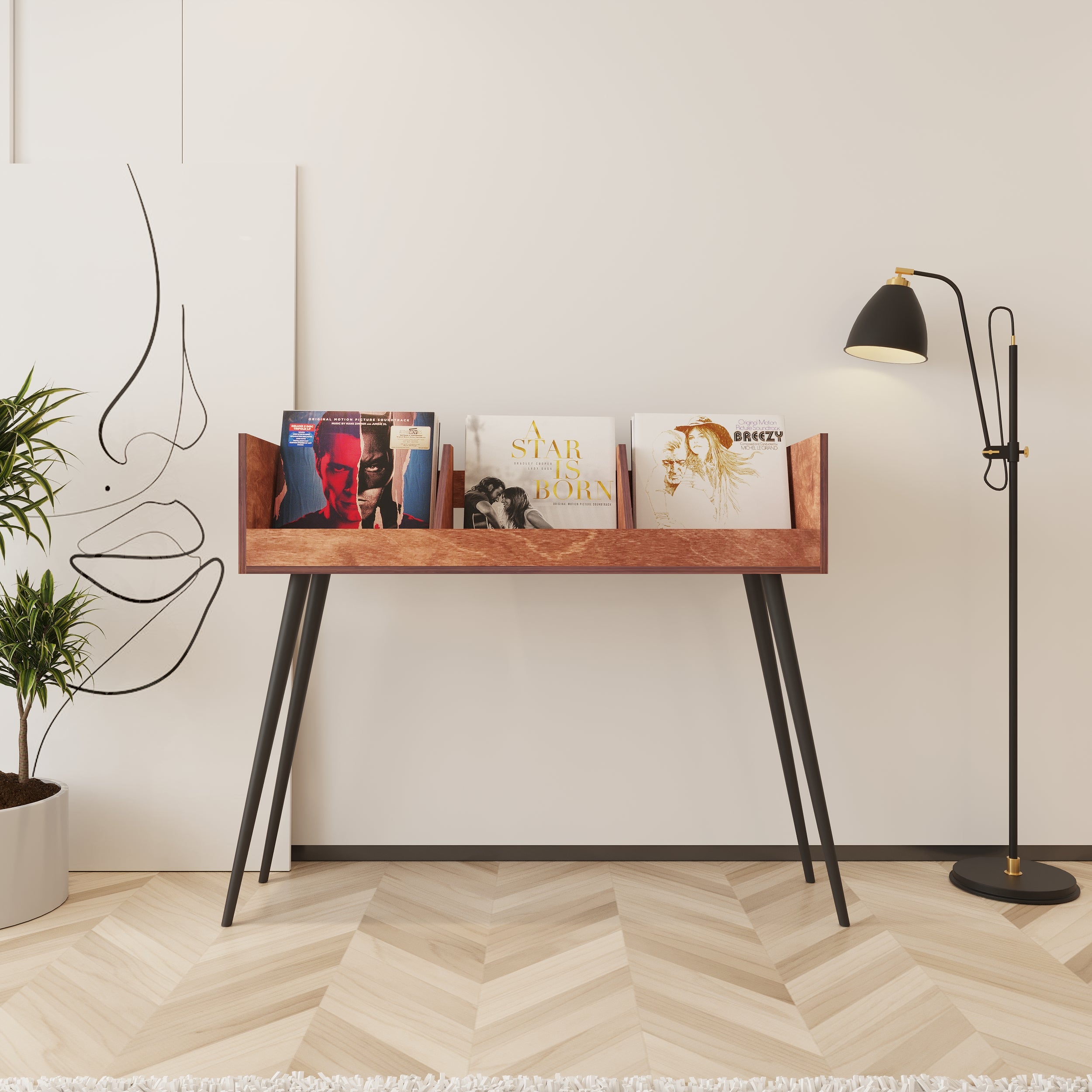 Cantata Vinyl Record Storage