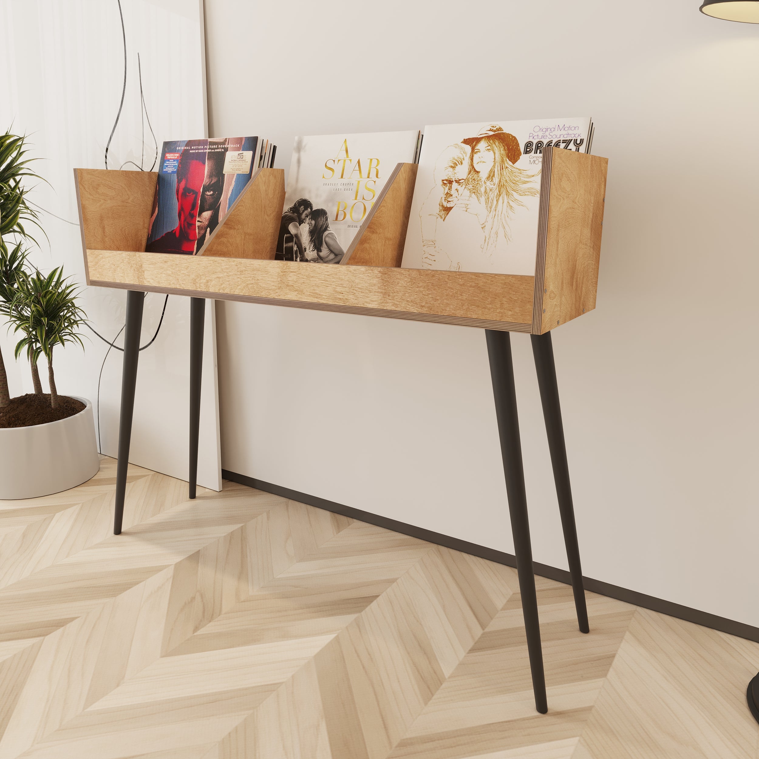 Cantata Vinyl Record Storage