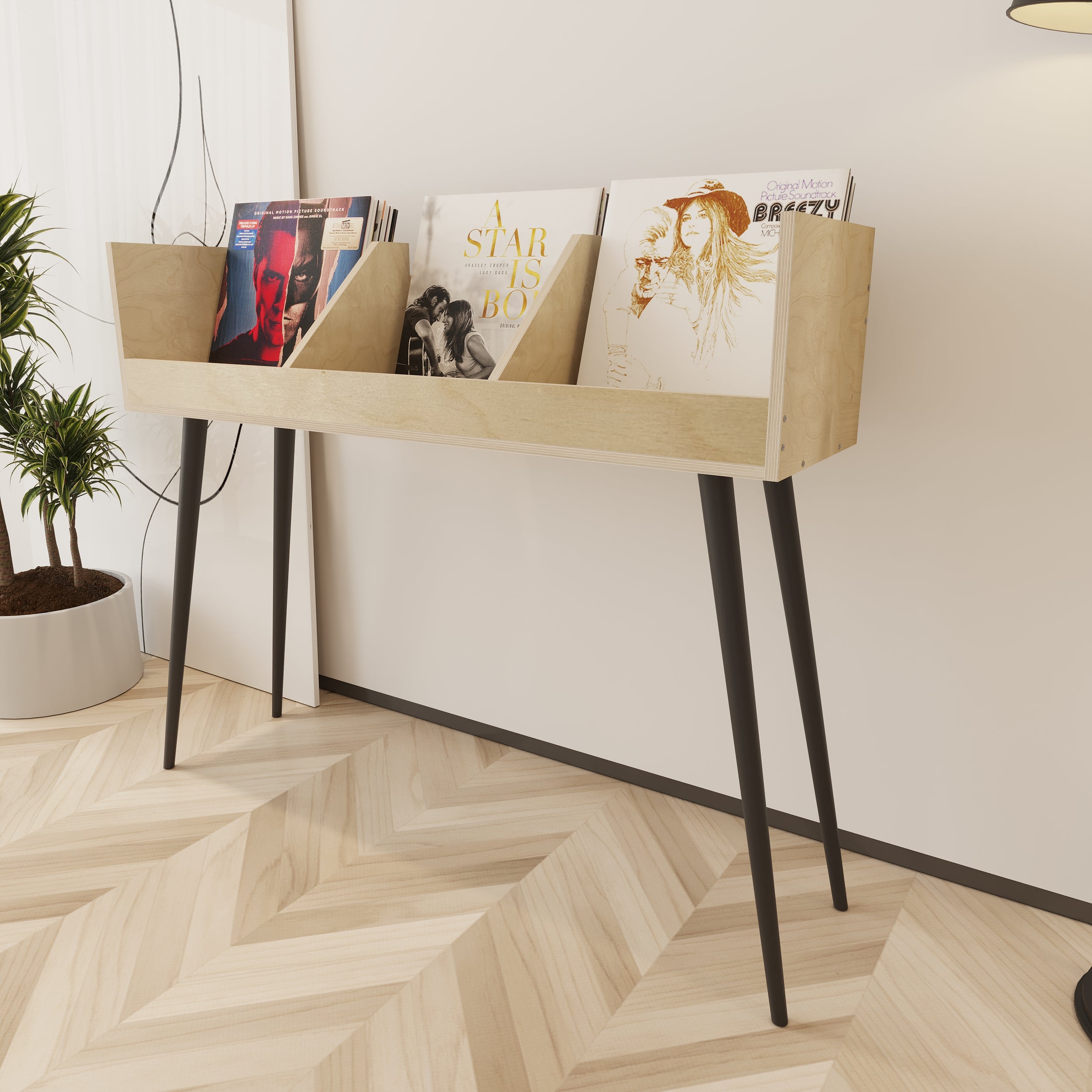 Cantata Vinyl Record Storage