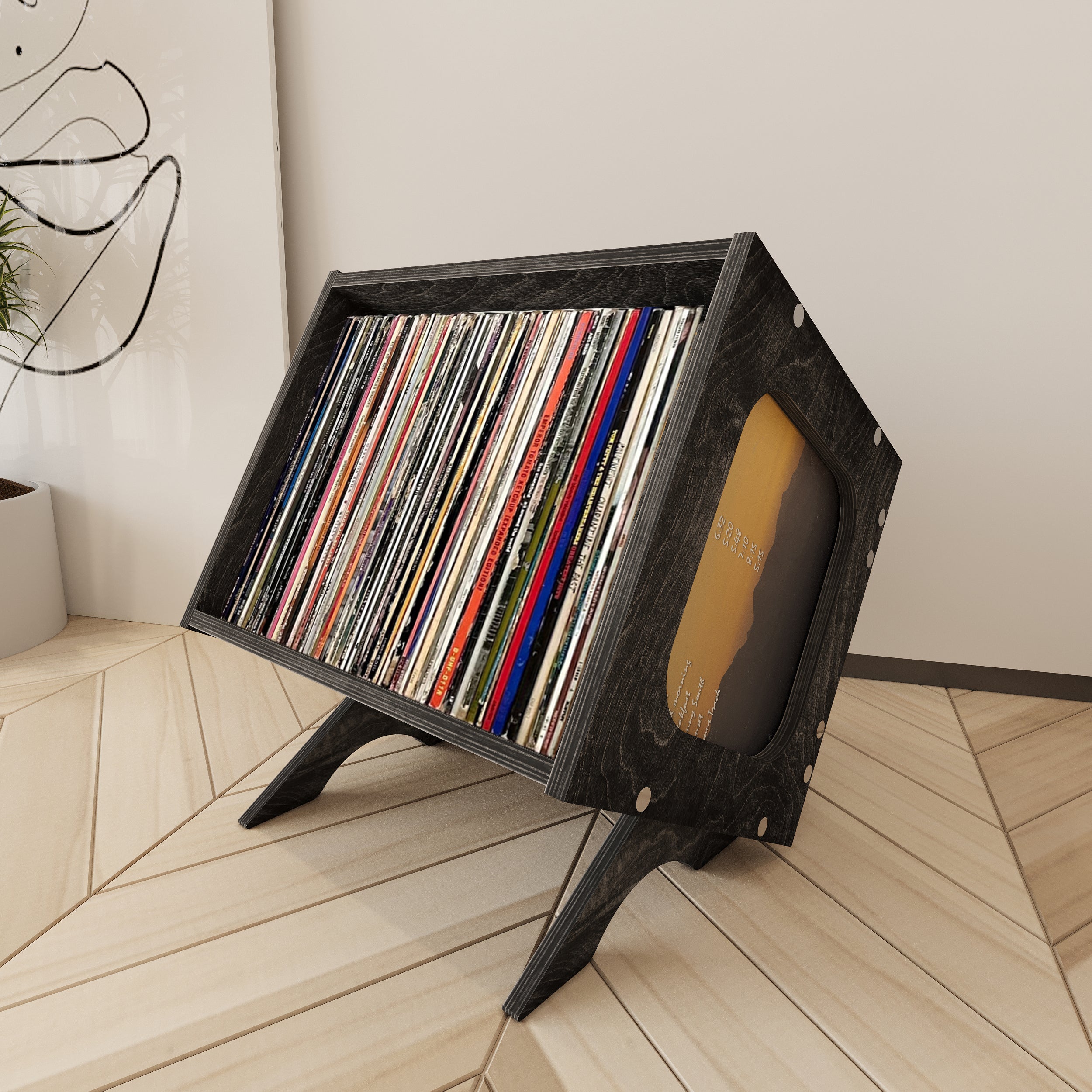 Overture Vinyl Record Storage Cabinet