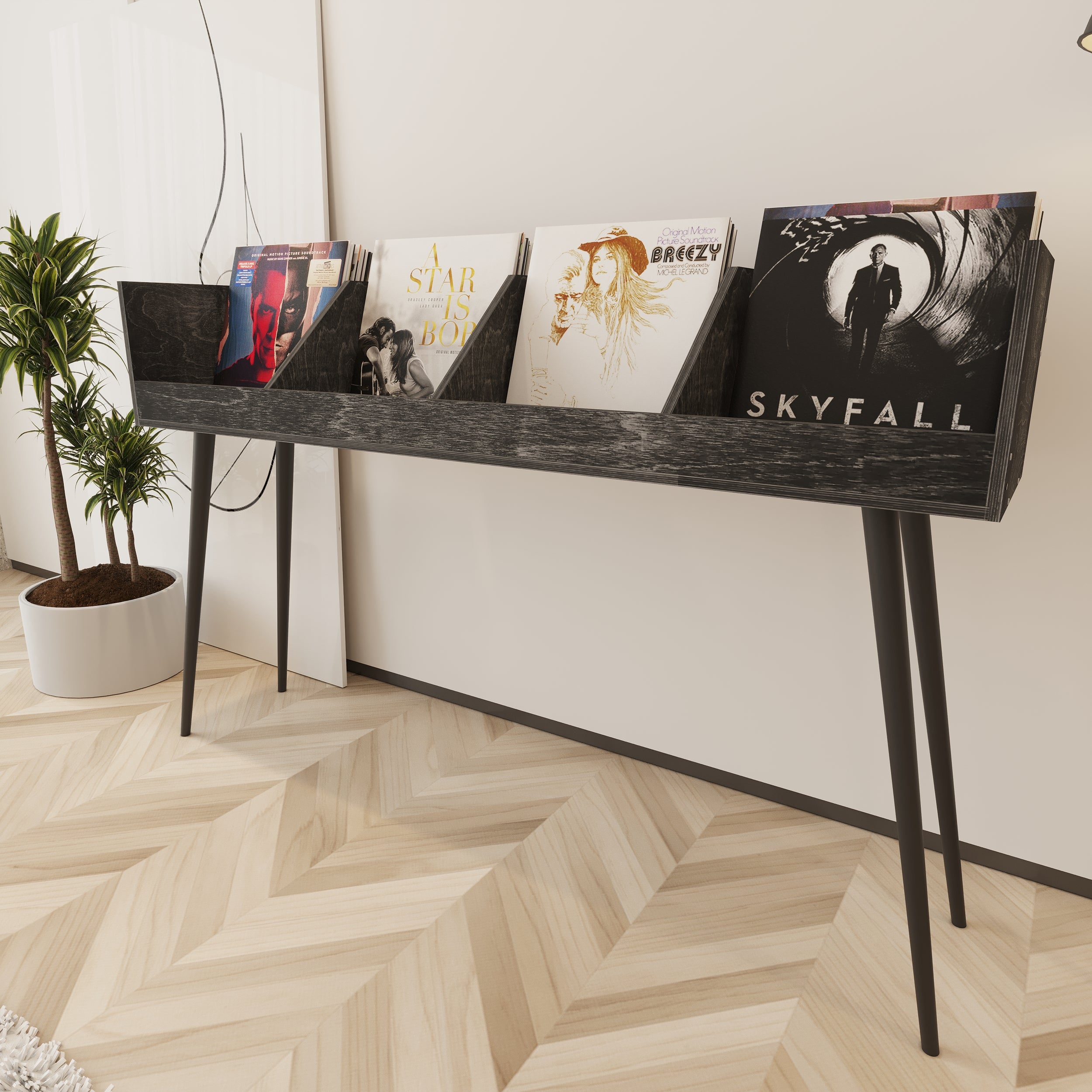 Pitch Vinyl Record Storage