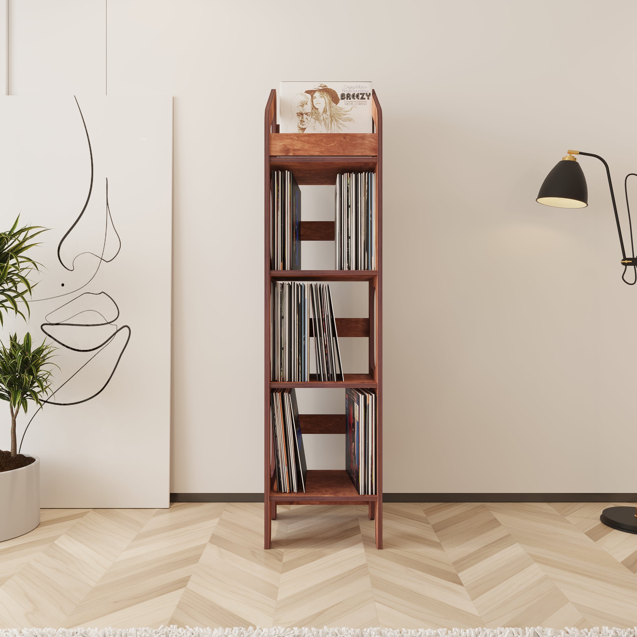 Vibe Vinyl Record Storage