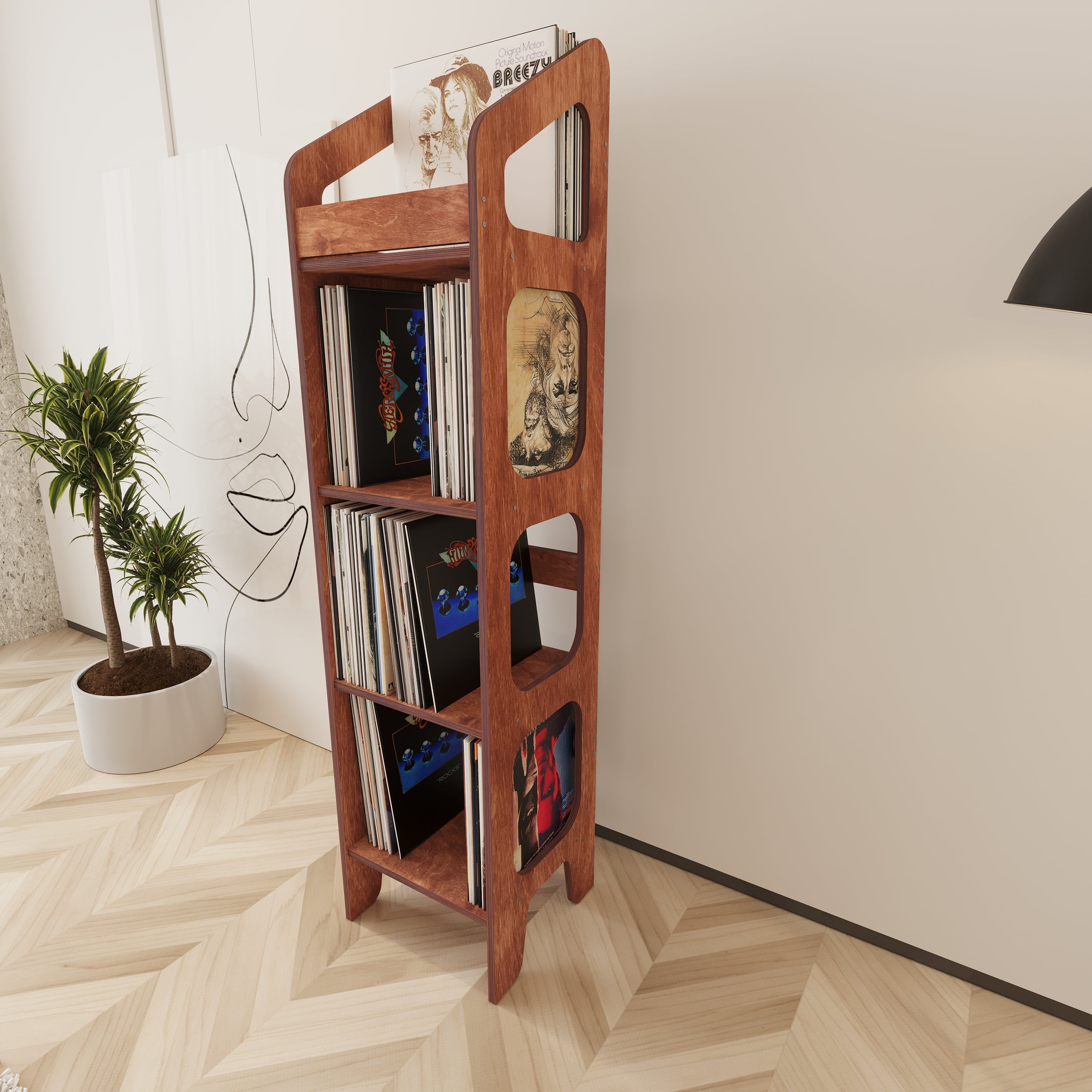 Vibe Vinyl Record Storage