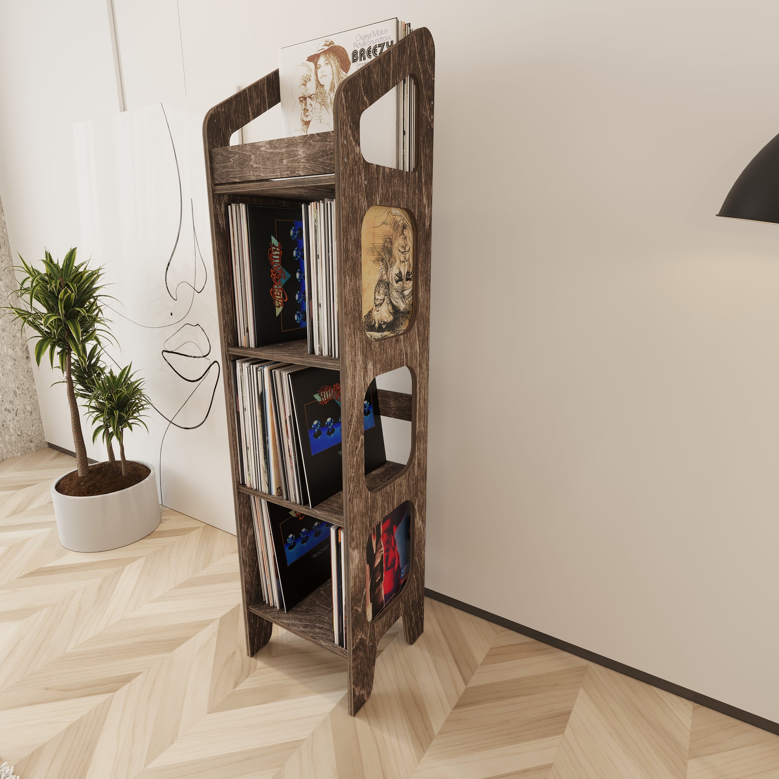 Vibe Vinyl Record Storage