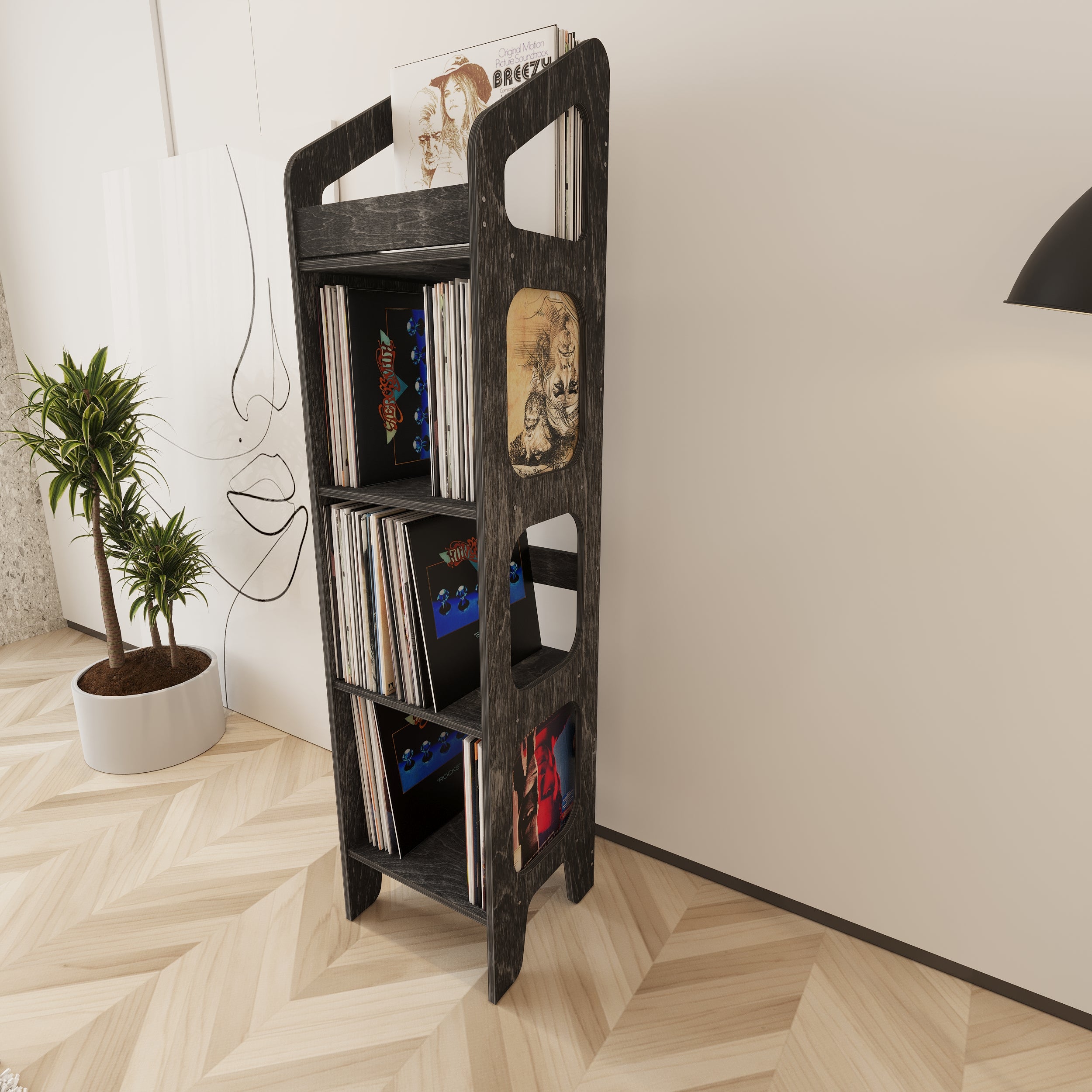 Vibe Vinyl Record Storage