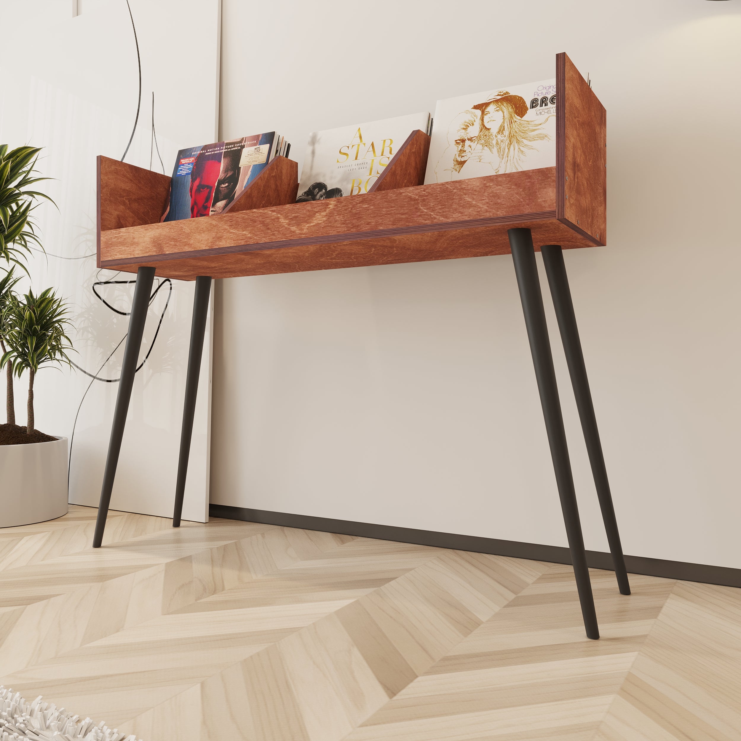 Cantata Vinyl Record Storage