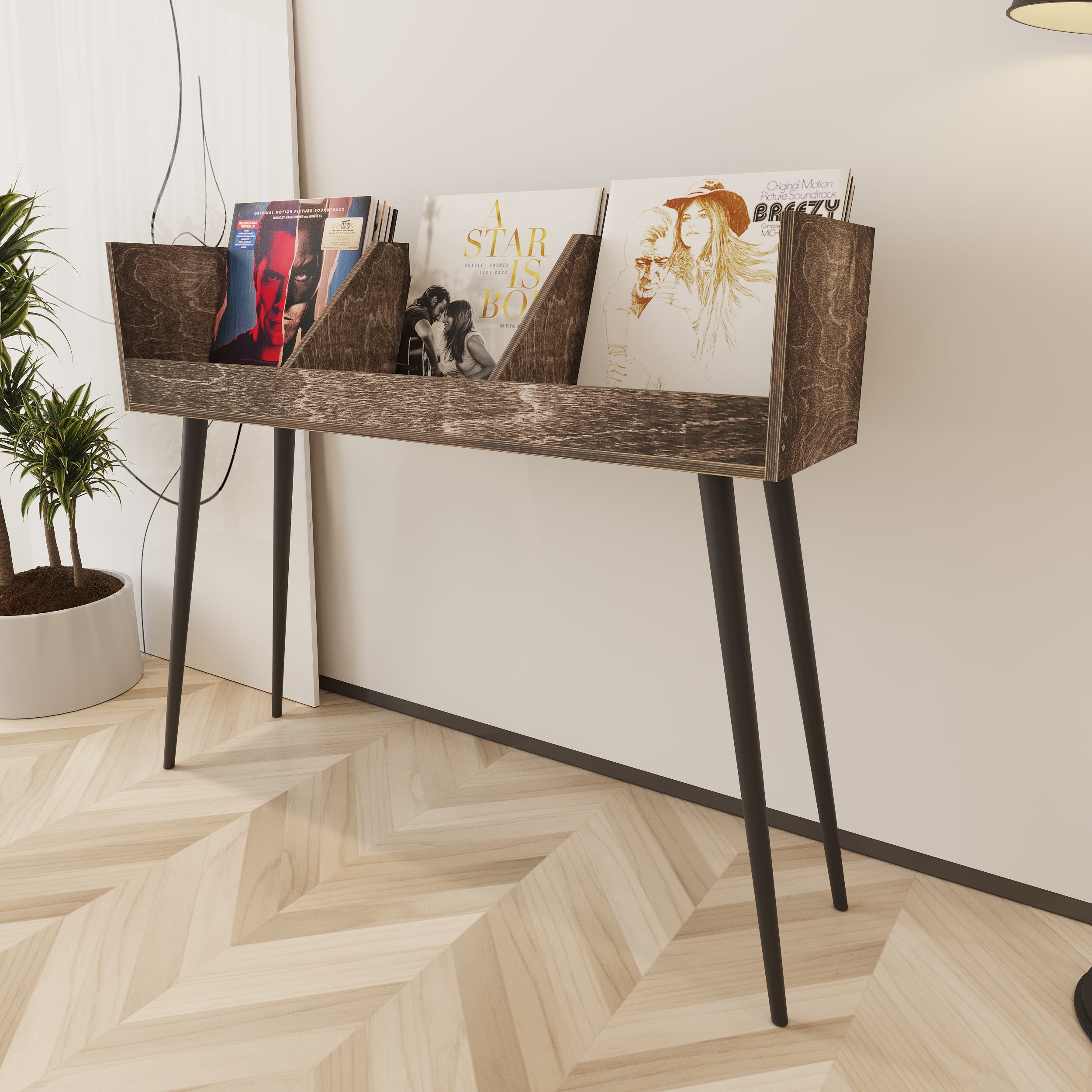 Cantata Vinyl Record Storage