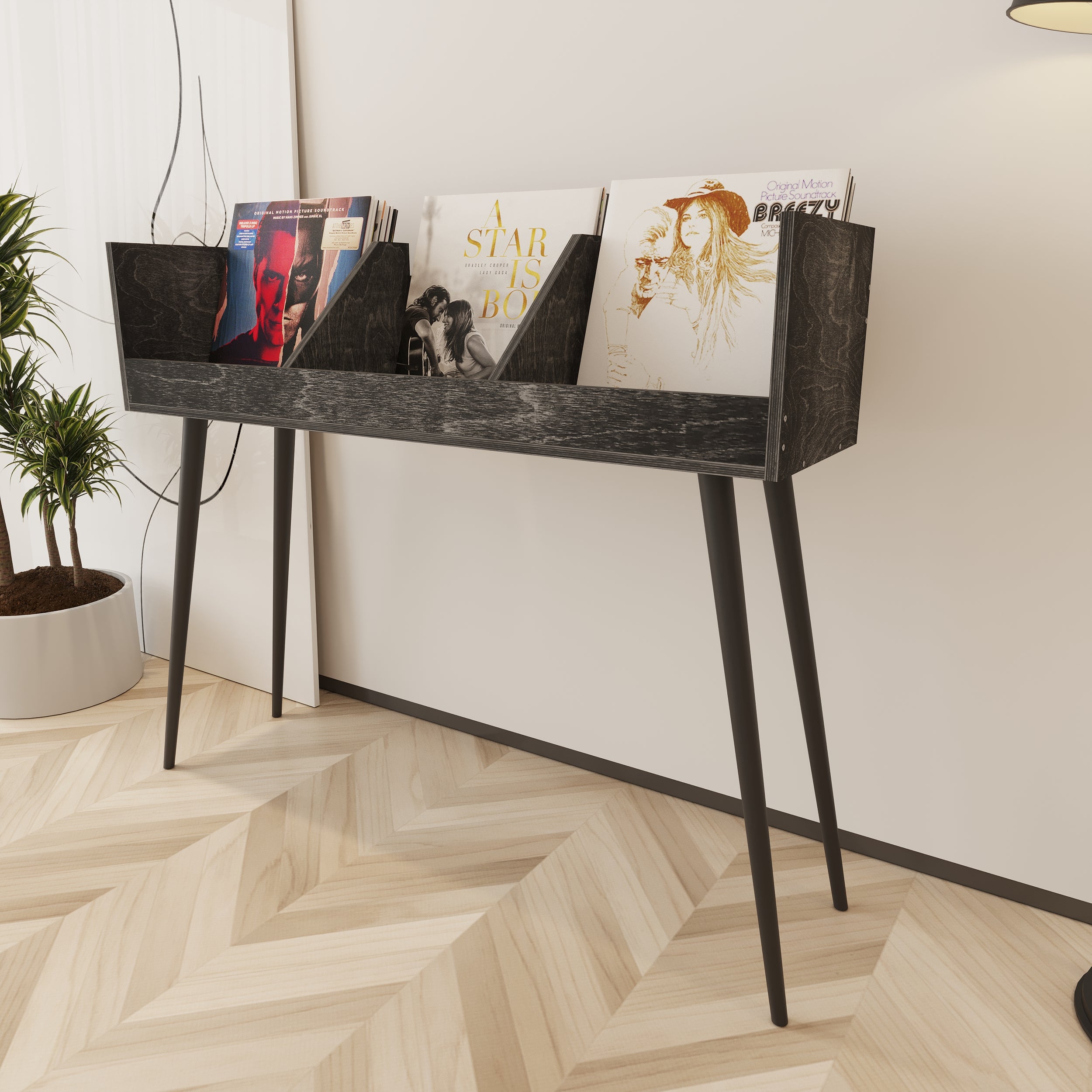 Cantata Vinyl Record Storage