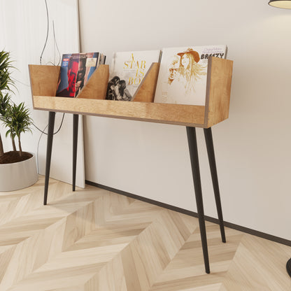 Cantata Vinyl Record Storage